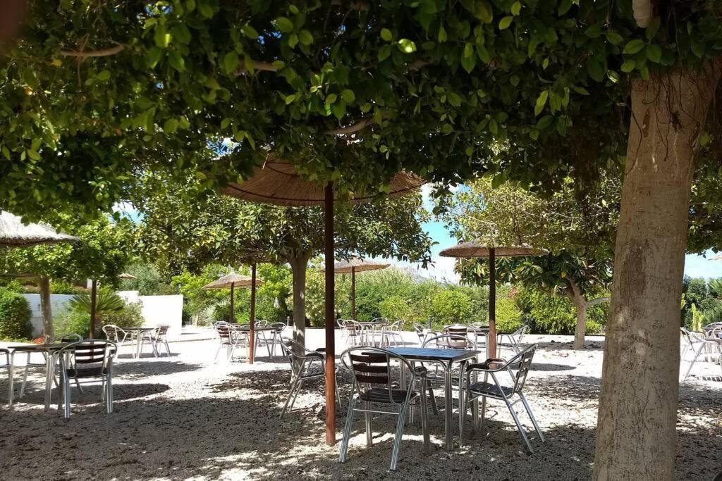 Appartement Beachfront Apt! Ac - Pool - Parking à Altea Extérieur photo